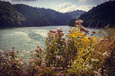 Similar image 10483491