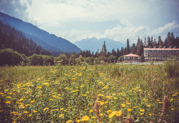 Similar image 10483499