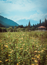 Similar image 10483501