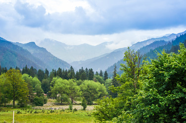 Similar image 10483502