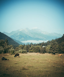 Similar image 10483507