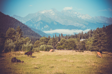 Similar image 10483509