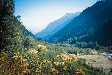 Similar image 10483513