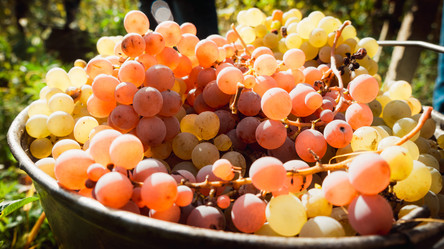 Similar image 10483515