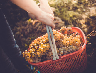 Similar image 10483518