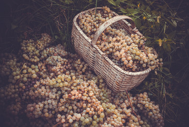 Similar image 10483519