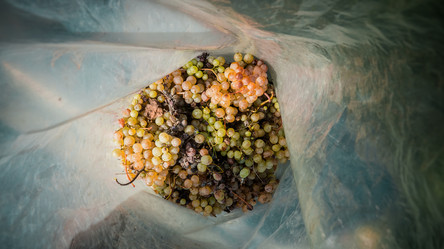 Similar image 10483525