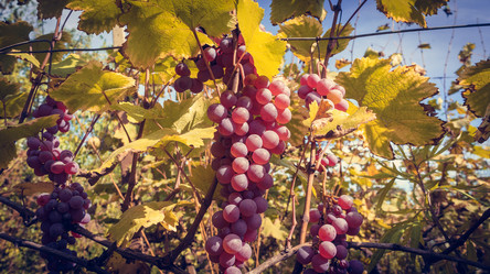 Similar image 10483526