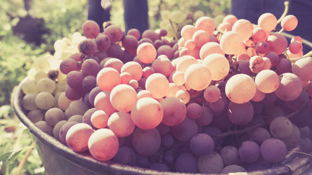 Similar image 10483529