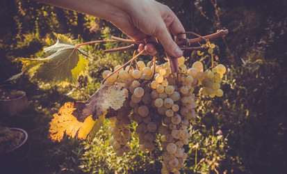 Similar image 10483531