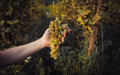 Similar image 10483532