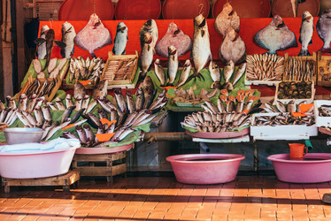 Similar image 10483575