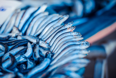 Similar image 10483576