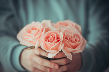 Similar image 10483583