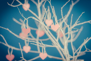 Similar image 10483605