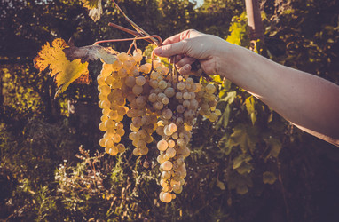 Similar image 10483724