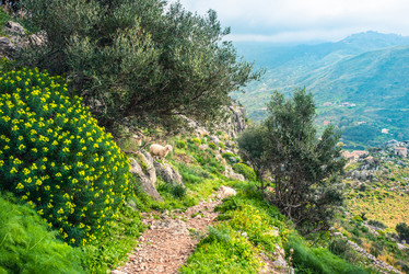 Similar image 10483729