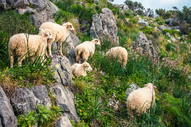 Similar image 10483737