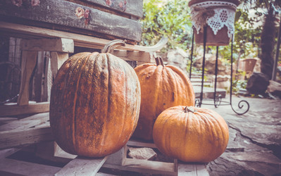 Similar image 10483739