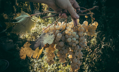 Similar image 10483759