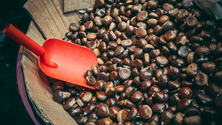 Similar image 10483795