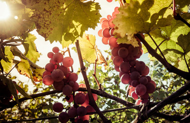 Similar image 10483853