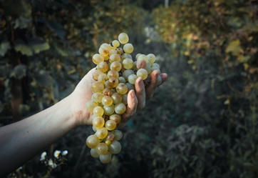 Similar image 10483859