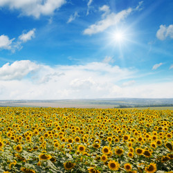 Similar image 10483861