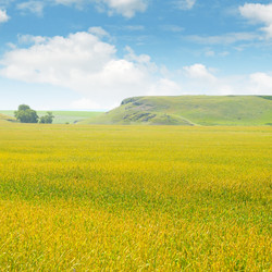 Similar image 10483866