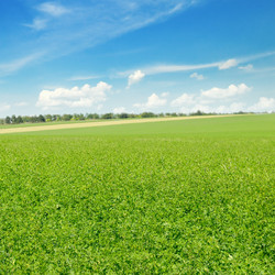 Similar image 10483868