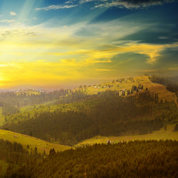 Similar image 10483871