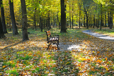 Similar image 10483895