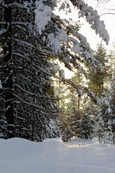 Similar image 10483912