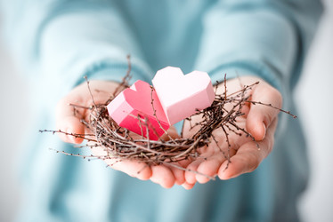 Similar image 10484069