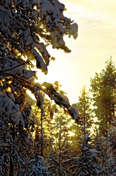 Similar image 10484079