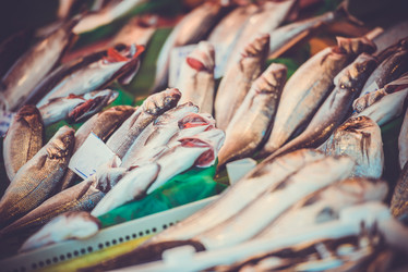 Similar image 10484127