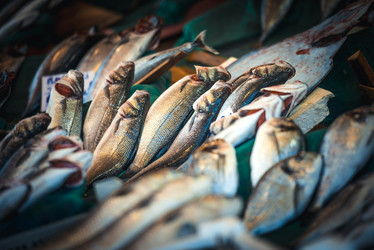 Similar image 10484131