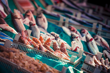 Similar image 10484133