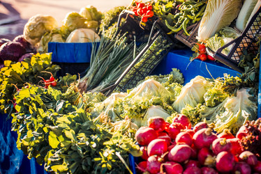 Similar image 10484144