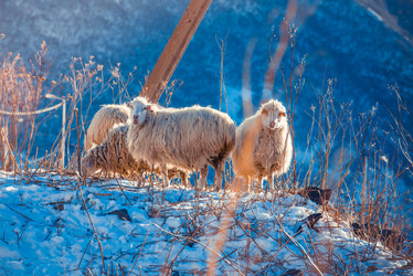 Similar image 10484184