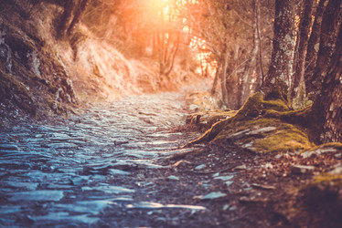 Similar image 10484271