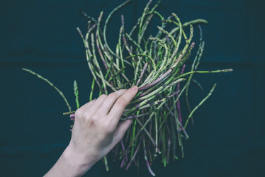 Similar image 10484310