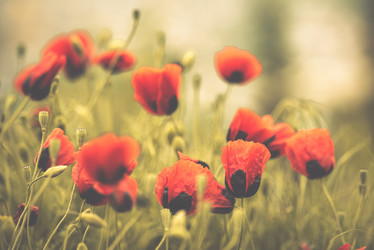 Similar image 10484407