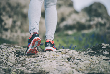 Similar image 10484408