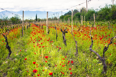 Similar image 10484422