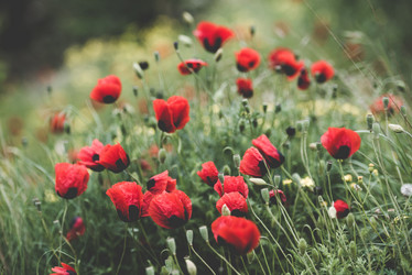 Similar image 10484429