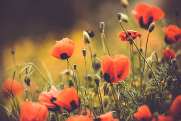 Similar image 10484441