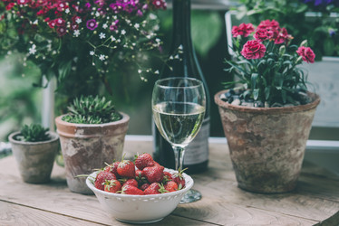 Similar image 10484453