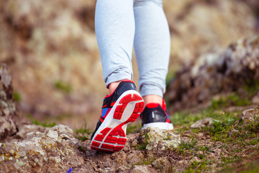 Similar image 10484457