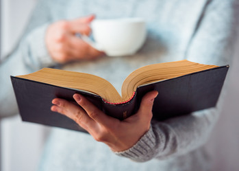 Similar image 10484621